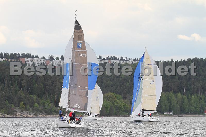 Bundefjorden2012 369.jpg